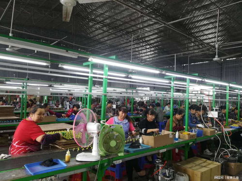 從個(gè)人護(hù)理電器看大學(xué)生進(jìn)廠 是“丟面子”還是“拓視野”？